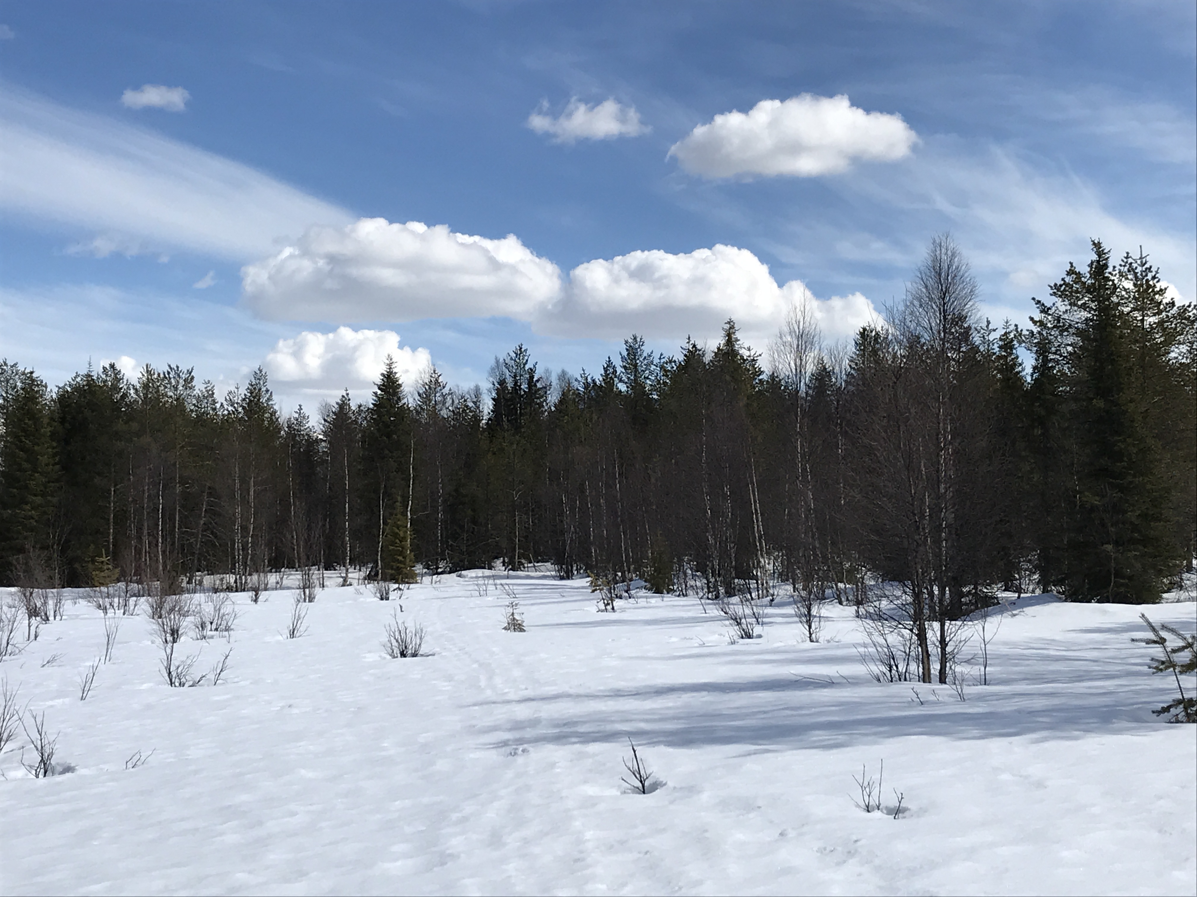 hankikuva3.5.2020